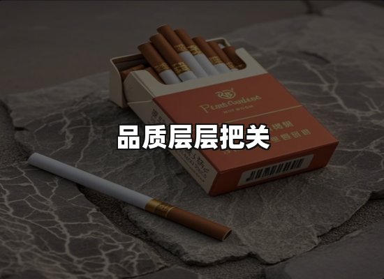 专业优势